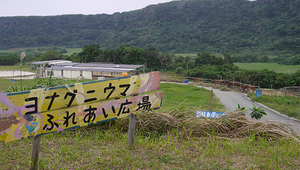 ヨナグニウマふれあい広場