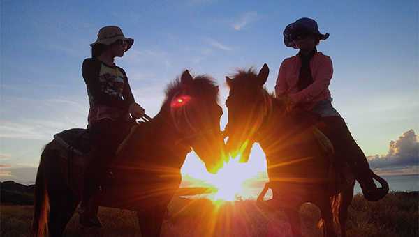 与那国馬風牧場（よなぐにうまうぼくじょう）